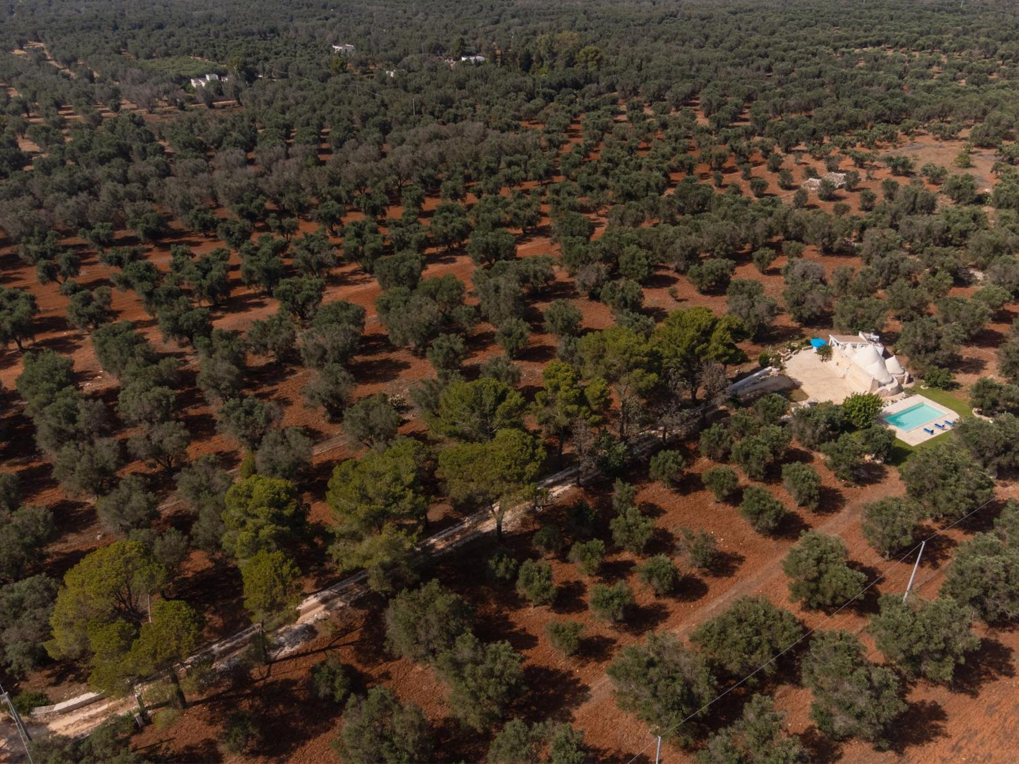 Trullo Tarantini Con Piscina Privata Apartman Latiano Kültér fotó